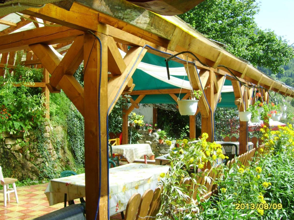 Cabana Suprema Armonie Dîmbovicioara 외부 사진