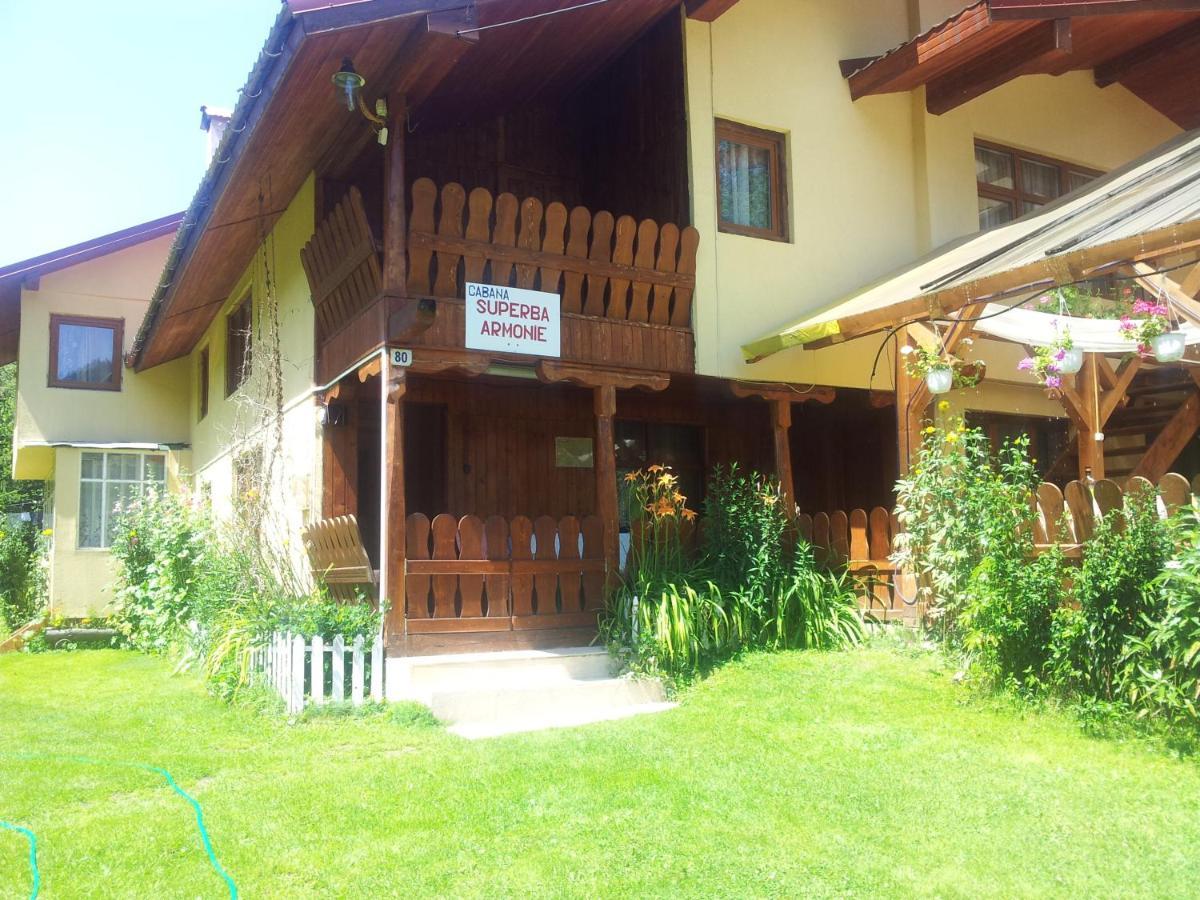 Cabana Suprema Armonie Dîmbovicioara 외부 사진