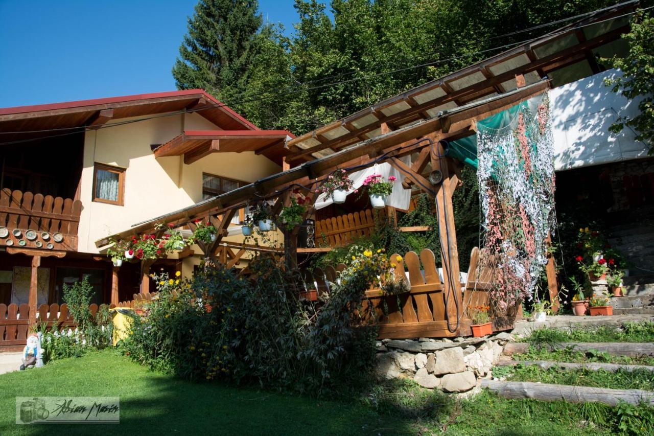 Cabana Suprema Armonie Dîmbovicioara 외부 사진